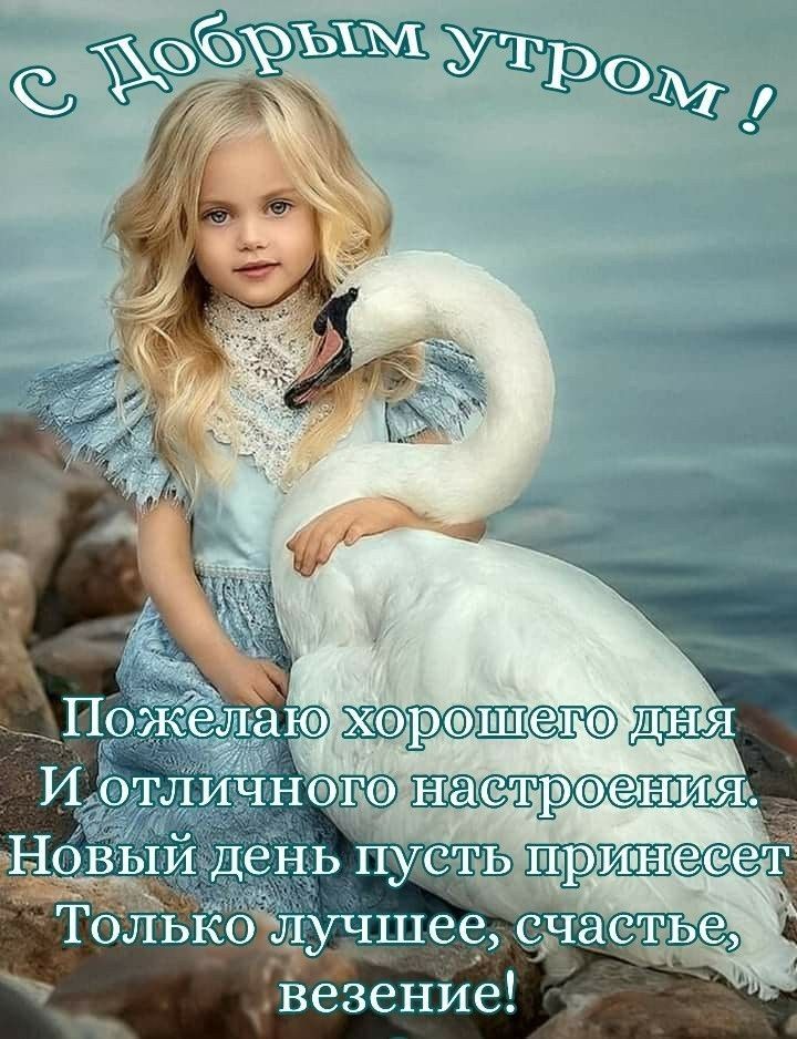 Только учшеед Жатва іВезение