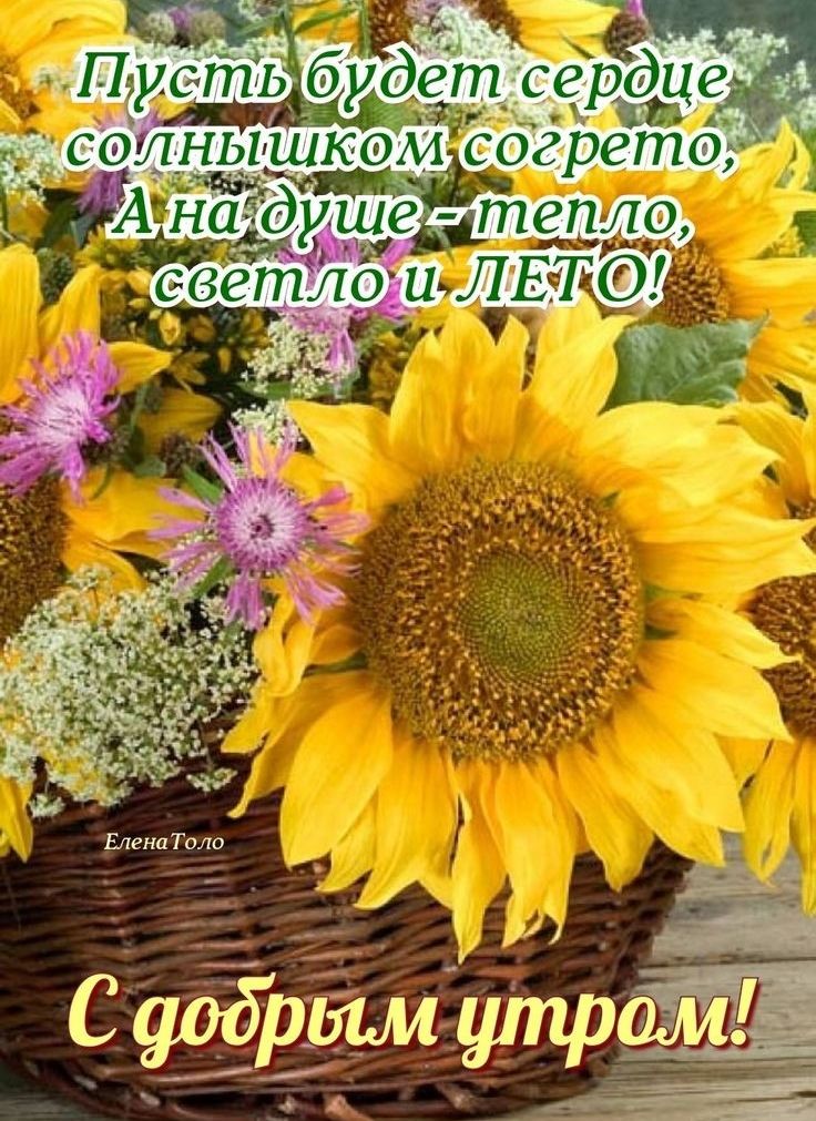 Елена Толи А 93