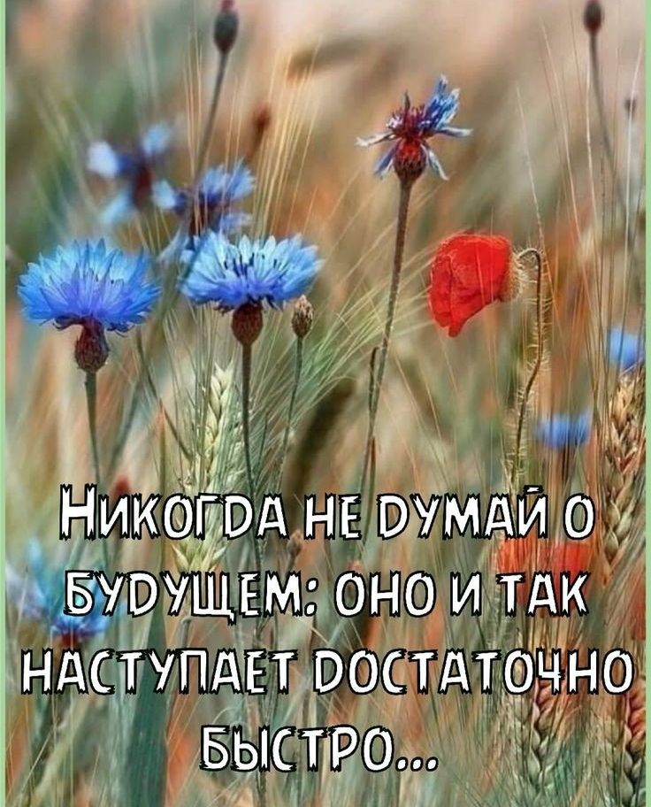 НЕЕРЭМДИ 31 ЁАЁОНО И1ЁТТЦК Е отдтсръьно ЗЕ д Е 1 ЕЕ ЕЕ ЕЕ 1