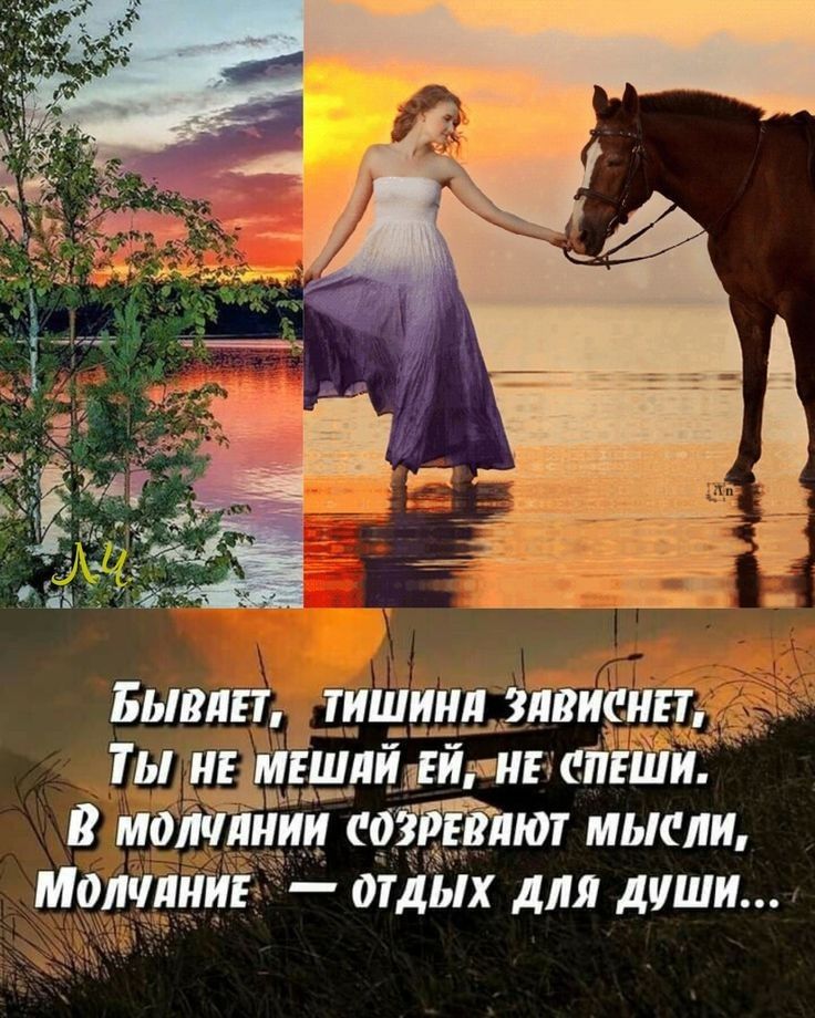 БЫВЛП _ТИШШМ ЗЛВЖНЕТ дд Ты НЕ мгшлиави1шнмпгш яйца В можт _и_и аттлют мысли Молчлниг отдЫх для души _