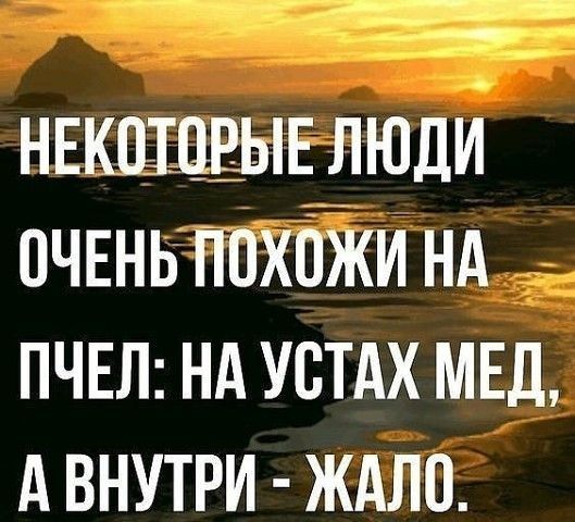 __ нвкщцвывлюди пчвнь ппхбіки нд ПЧЕЛ нд устдх МЕД д внутри ждло