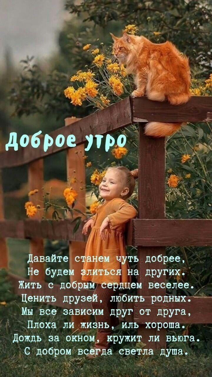 о доброёіущіді давайте еже дчуть добрее Не будеі Т на других Жить с до рнмЁЕрдцем веселее Ценить друзей любить родных Мн все зависим друг от друга Блоха лЧжиэнь илі хороша дождь за окном кружитцлн вьюга _ с добрчц ЁЁЁгда светла душа __ дп _