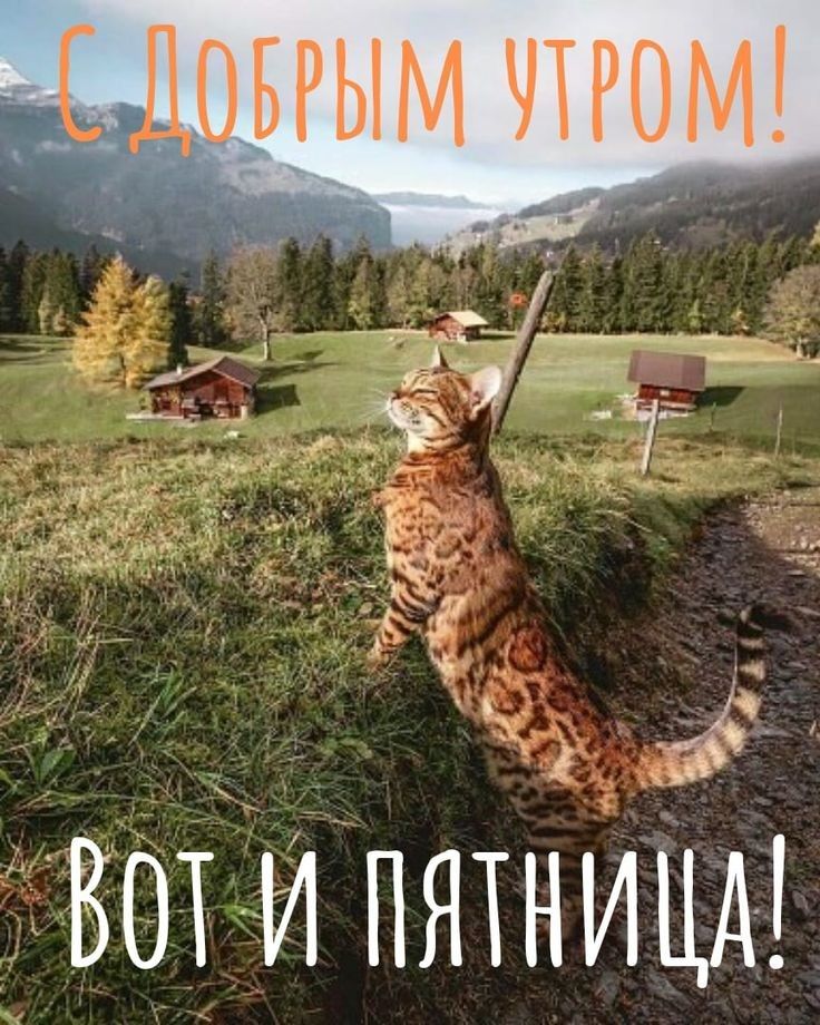 Довгым чтгом 13 ЁВЩ и пяхницм