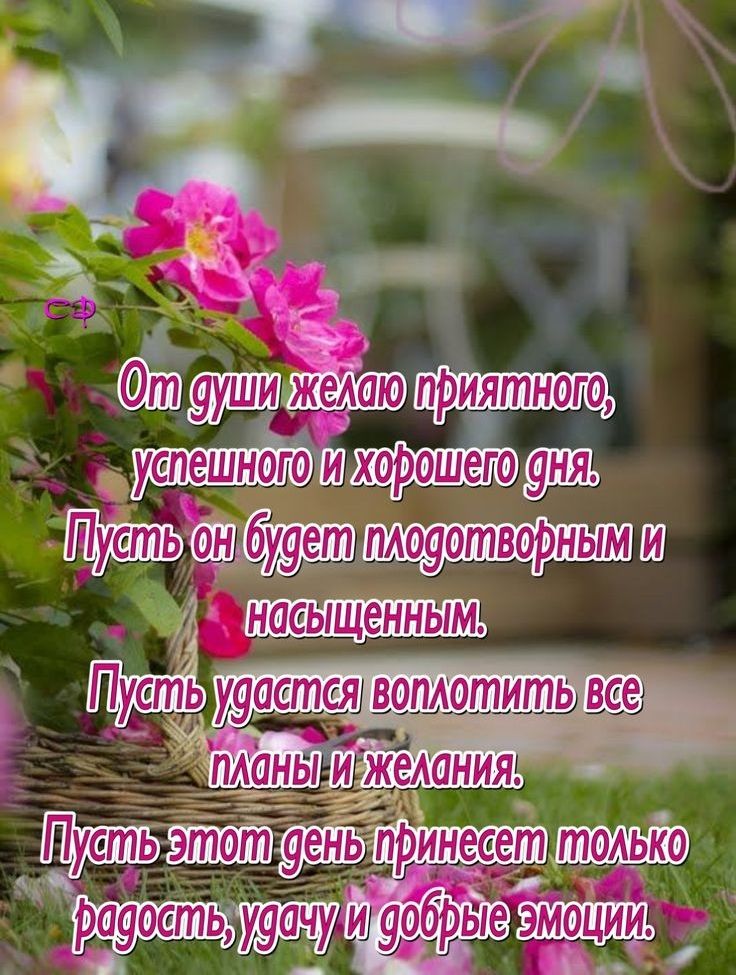 фиш уепешногои хорошёг09 пАо9отворным мш 29 насыщенным уайетт 2316 жднвлИЖеАтіния