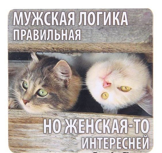 МУЖСКАТЛОГИКА
