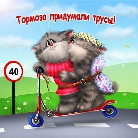 трусы