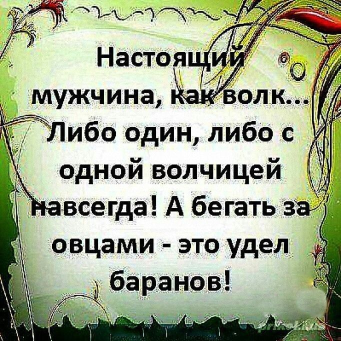 ибо один либо с одной волчицей _ всегда А бегать зі