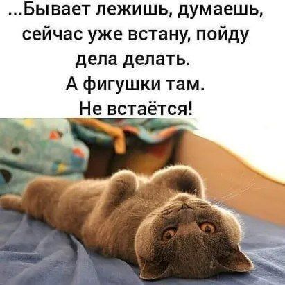 Бывает лежишь думаешь сейчас уже встану пойду дела делать А фигушки там Не встаётся