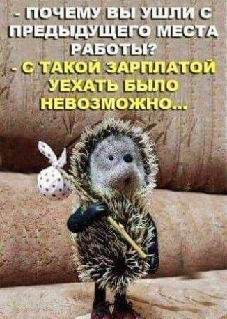 ЦЦЧЕШЕ ЕЦ ШШ С 111Щ ЕЦ ЦЕСП Г Ц СПД С іАіьСП ЫЦЗ ЦЦДЦЬ