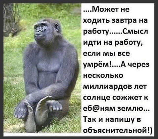 Может не ходить завтра на работуСмысл __ если мы все умрёмА через несколько миллиардов лет солнце сожжет к ебням землю Так и напишу Ё объяснительной