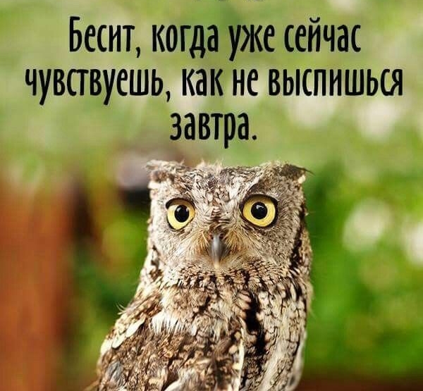 Бесит когдатже сейчас чувствуешь как не выспмшься завтра