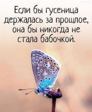 Если бы гусеница держалась за прошлое она бы никогда не стала бабочкой