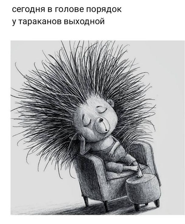 СЕГОДНЯ В голове ПОРЯДОК У Тараканов ВЫХОДНОИ
