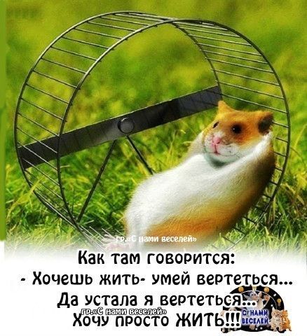 Как там говоритс:  хочешь жить умей вертетьс,