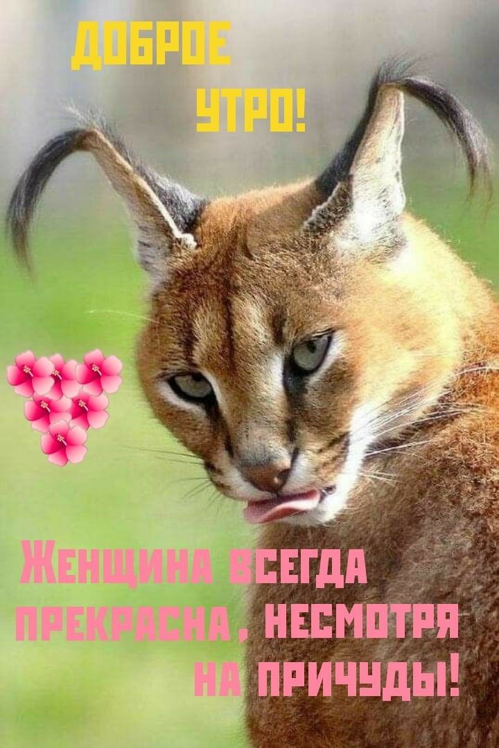 Жёншинд ЕЁДЕЪ ПРЕёхГдЫЦ БЁЕЕППіЕЕЁП НД ЕЁЁМЁЁЁШЁ Б