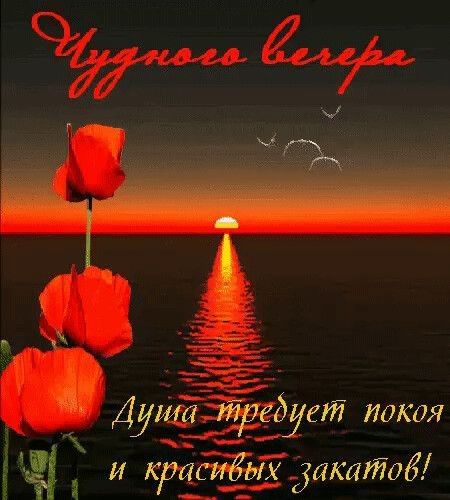 1 1 И КР ЁЁети дакагйокёя о