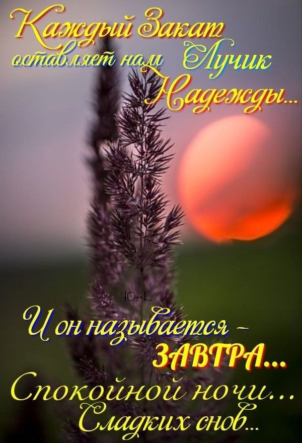он тагыёэаётсл 311377311 Спокойнойнош ібих СНО