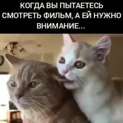 КОГДА ВЫ ПЬГГАЕГЕСЬ СМОТРЕЪ ФИЛЬМ А ЕЙ НУЖНО ВНИМАНИЕ