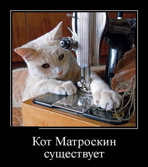 Кот Матроскин существует