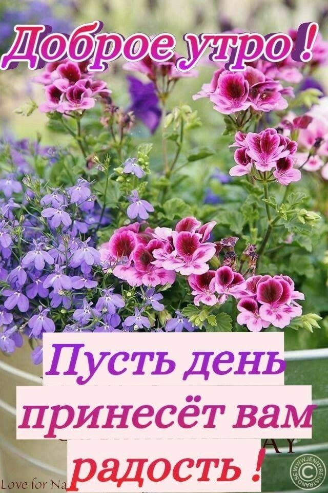_ Пусть ДеНЬч принесет ва