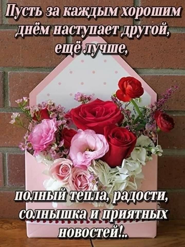 Пусть за кащцьш хоіюшим 4 Днём наступает дрУгоЙ новостей