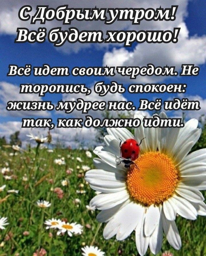 5РЫМУ ром _ Всё будет хорошо В не едомНе се идет своим рцы рописьібудь спокоен жизным дрее нас Все ёЁЦдёт так как ожтй