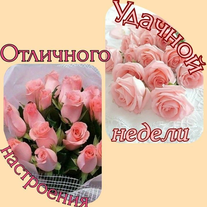 ТАНЮ 9