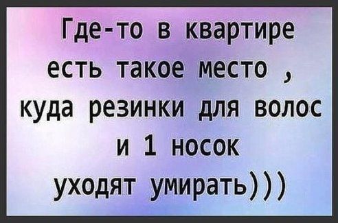 Где то в квартире есть такое место куда резинки для волос и 1 носок уходят умирать