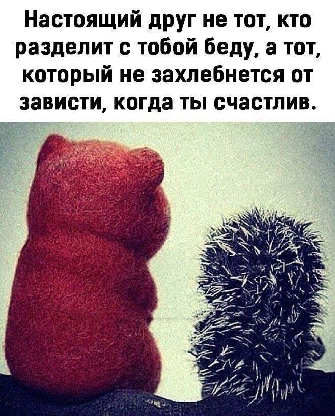 Настоящий друг не тот кто разделит с тобой беду а тот который не захлебнется от зависти когда ТЫ счастлив