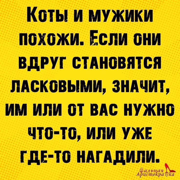 Кош И 7 ШХПЖИ ЕСМ стяптн МВК гипп ВАС ШРИ УЖЕ ГДЕ Ш мидии