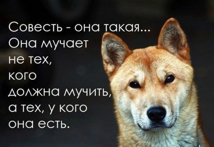 Совесть она такая Оно мучает не тех кого АОАЖНО мучить тех у кого оно есть