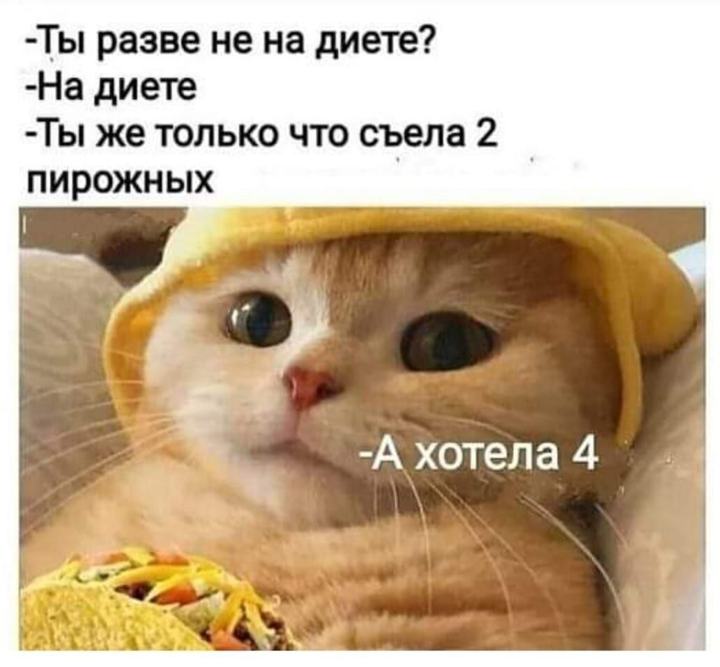 Ты разве не на диете На диете Ты же только что съела 2 пирожных