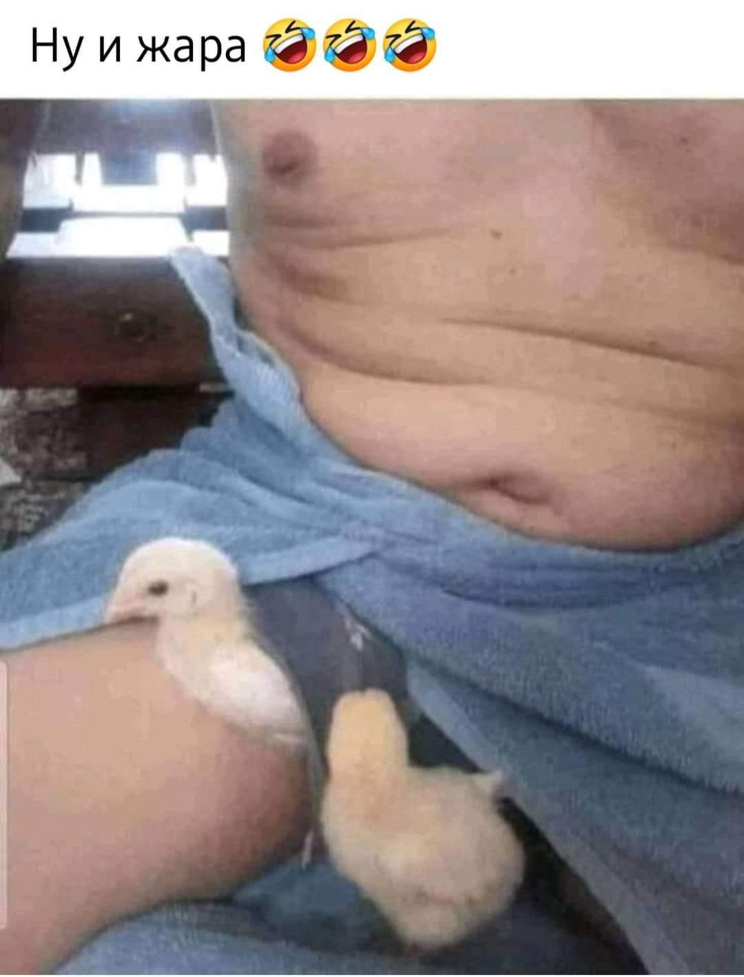 Ну и жара