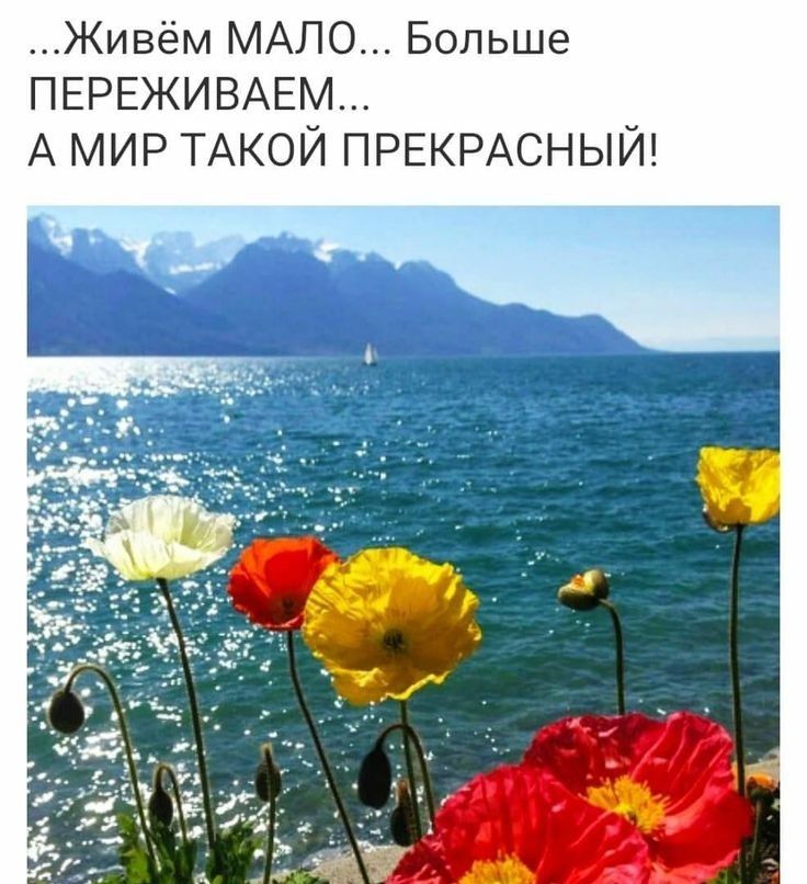 Живём МАЛО Больше ПЕРЕЖИВАЕМ А МИР ТАКОЙ ПРЕКРАСНЫЙ
