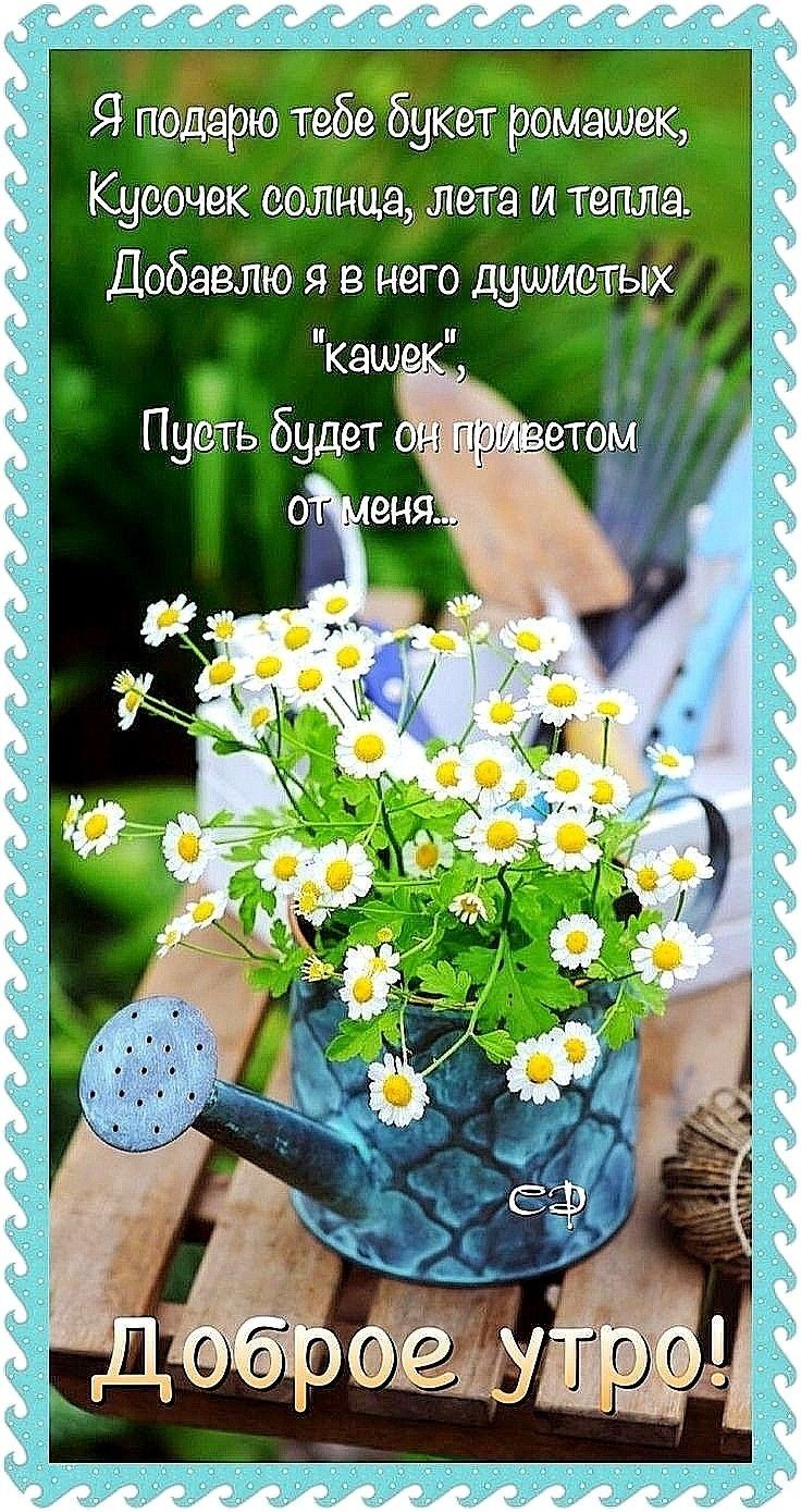 Кусочек солнцем лета и тепла Добавлю я в него душистым кащщ Пуоггь будет в приютом ох еня