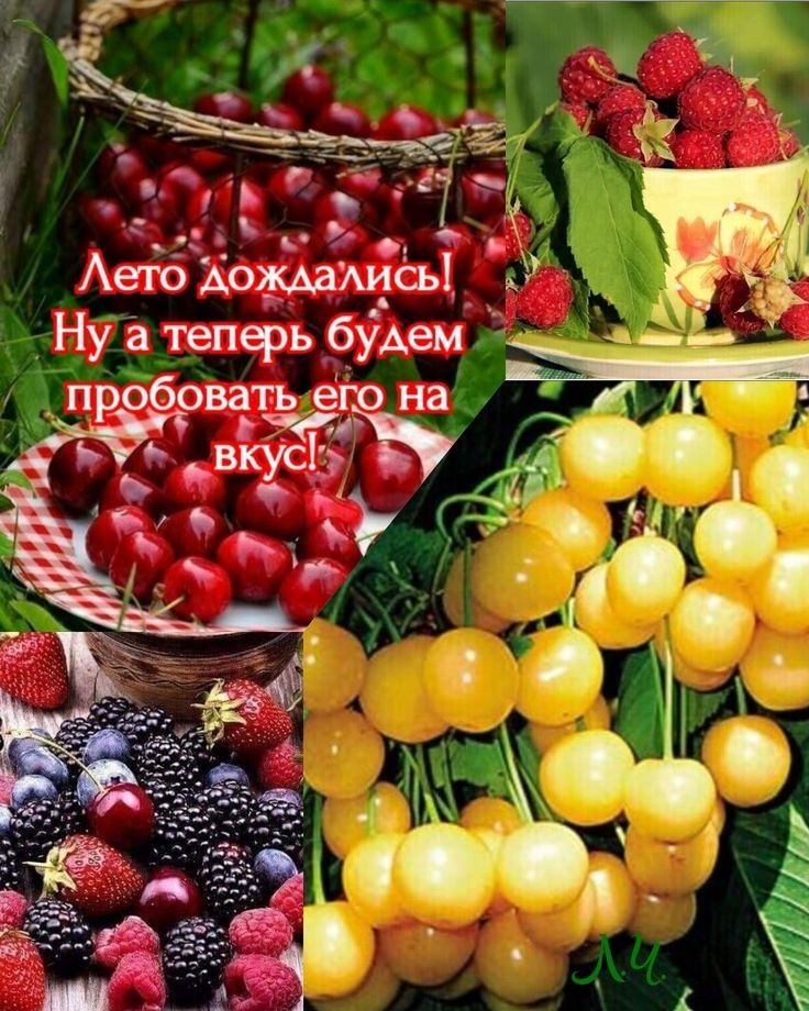 М Аетб дождажисы Ну а тепфь б_уАем