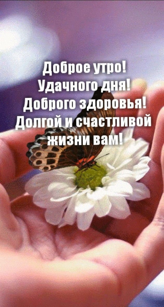 добпою Здіпювы двиг счастливой