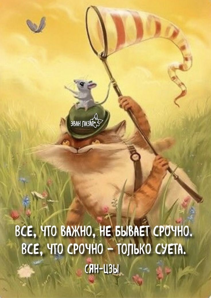 ВСЕ чіо важно не вываштчао Все чтд срочно ТОлько суета янщ да с