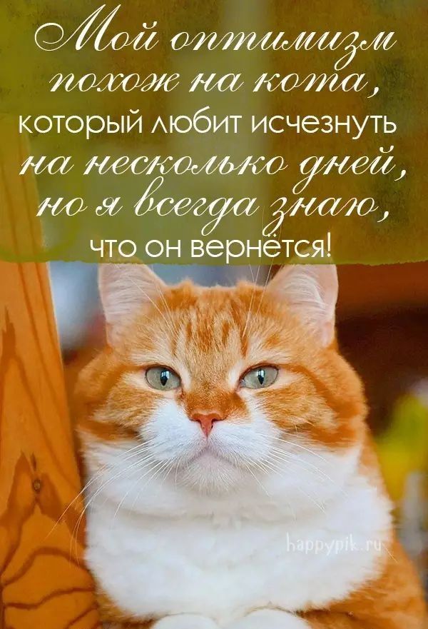 который АЮбИТ исчезнуть масяжстуаёмто ч _0 он вернется