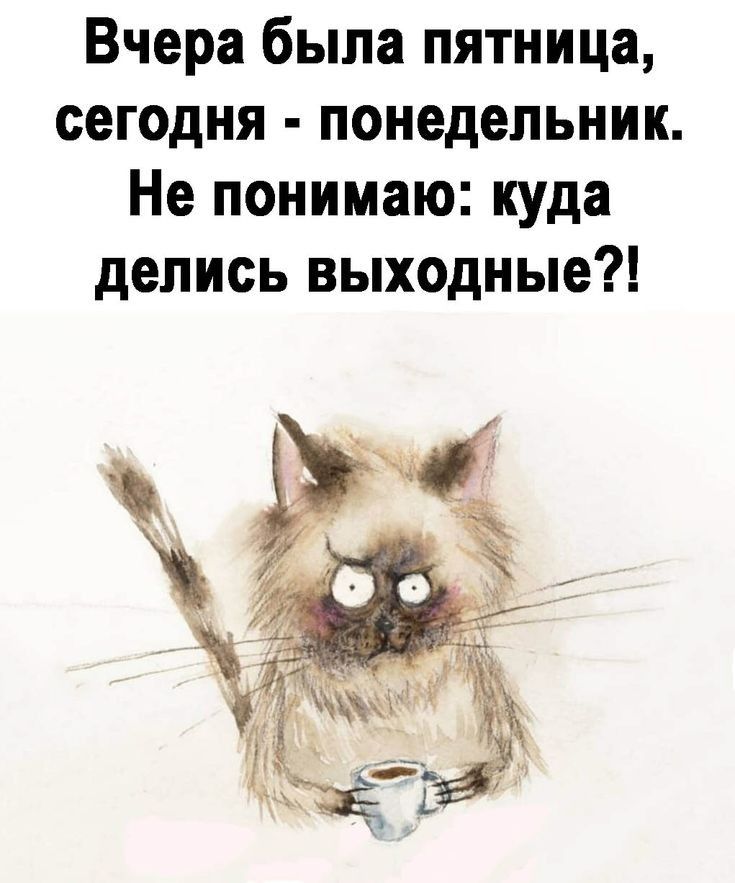 Вчера была пятница сегодня понедельник Не понимаю куда делись выходные