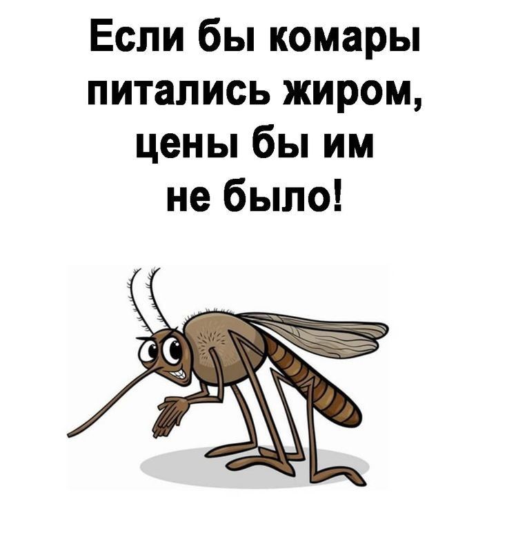 Если бы комары питались жиром цены бы им не было