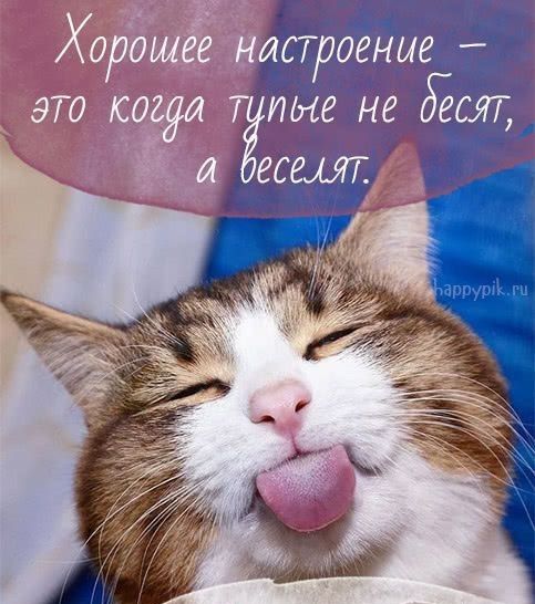 строение иые не дёсят