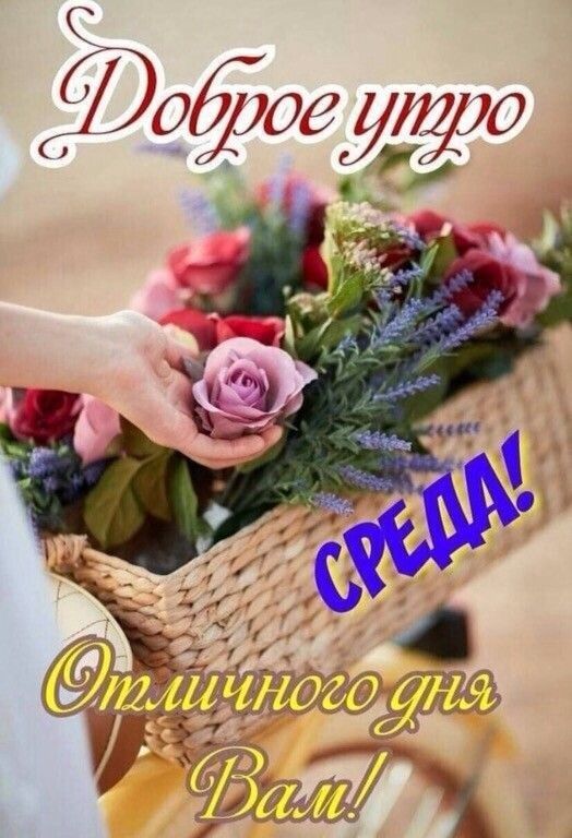 С ОЁЗЁДО