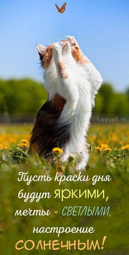 Щустьсршішфщ ЯЮКИМИ СВЕТЮМИ