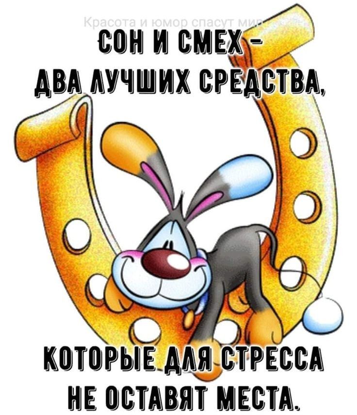 Б сон и шех ю два лучших ёреавтва.  Которые длястресса не оставят места.
