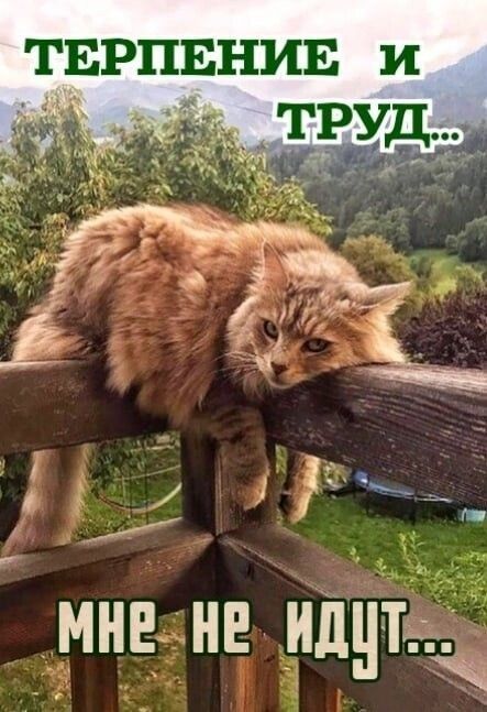 тврпвнив и мне не идут
