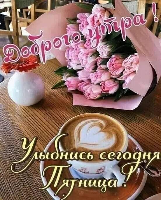 ы нись сего 1