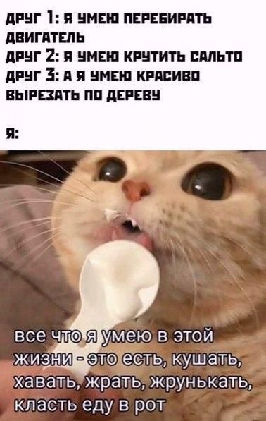 ПРНГ П НМШ ПЕРЕЕИРПП дЕИГПТЕЛЬ дРНГ 2 П НМШ КРНТИГЬ ПМЬТП дРНГ 311 я НМШ КРШИВП ВЫРЕЗПТЬ ПП АЕРЕВ все ЧТЗ Я умею В ЭТОЙ ЖИЁНИ ЭТФ есть КУШЭТЬ хавать жрать жрунькать КЛЭСТЬ еду В РОТ