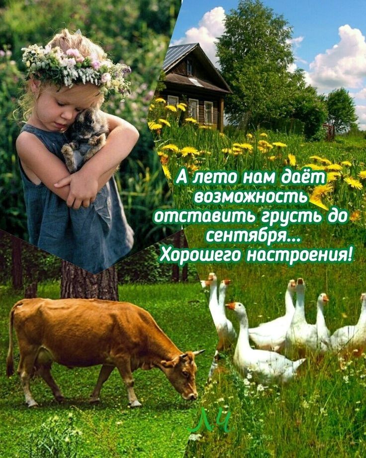 ААЁтёто нам даёт возможность отставить грусть дог сентября Хорощего настроения