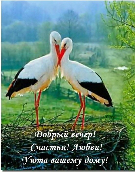 бобіяьш 57 ж ___ _